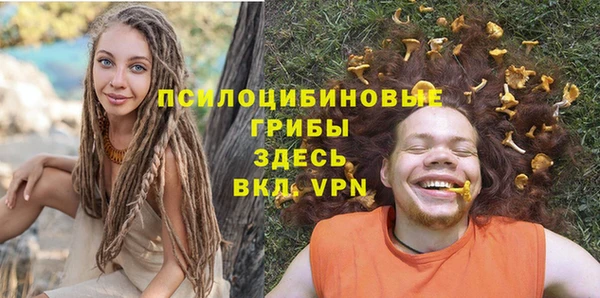 а пвп мука Аркадак