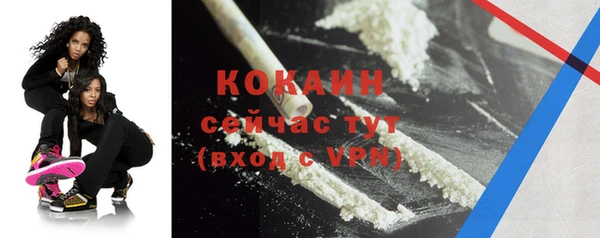 стаф Вяземский
