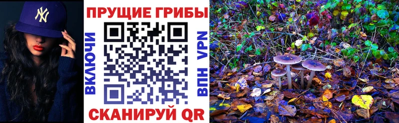Галлюциногенные грибы Cubensis  Ступино 